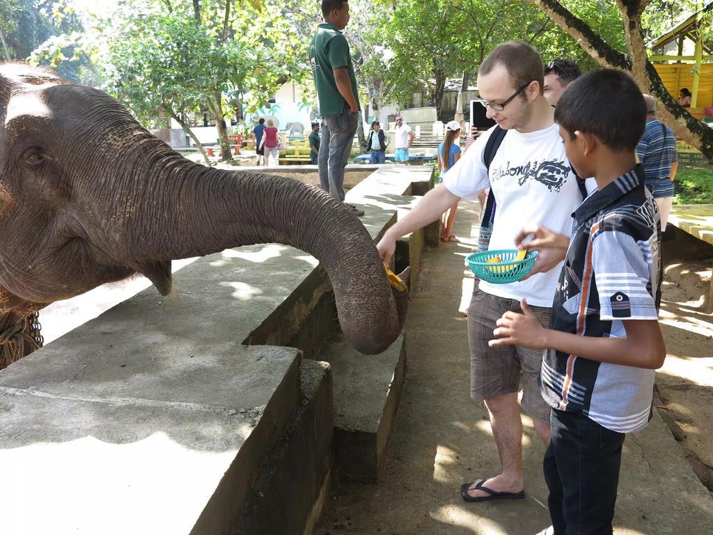 Suwani Pinnawala Homestay Ngoại thất bức ảnh
