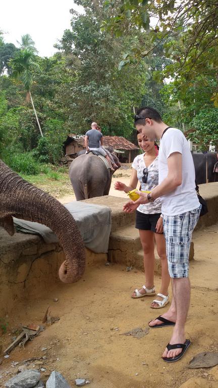 Suwani Pinnawala Homestay Ngoại thất bức ảnh
