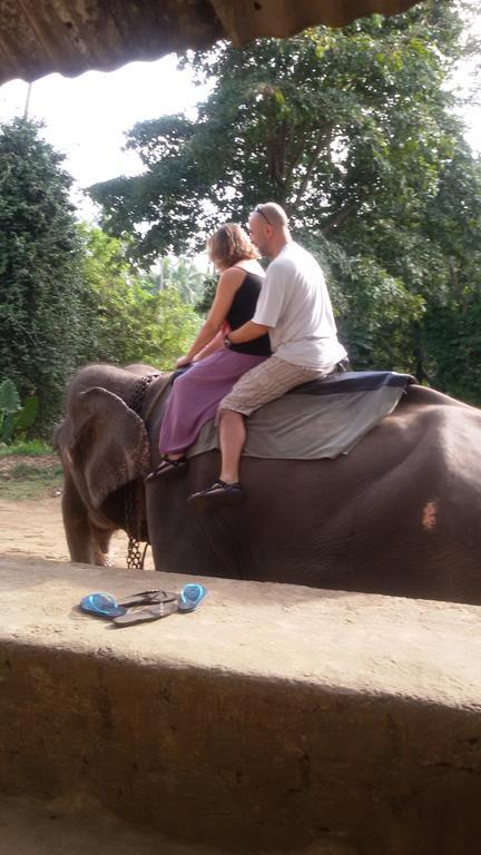 Suwani Pinnawala Homestay Ngoại thất bức ảnh