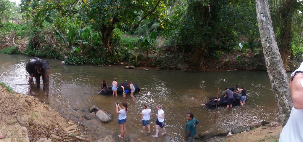 Suwani Pinnawala Homestay Ngoại thất bức ảnh