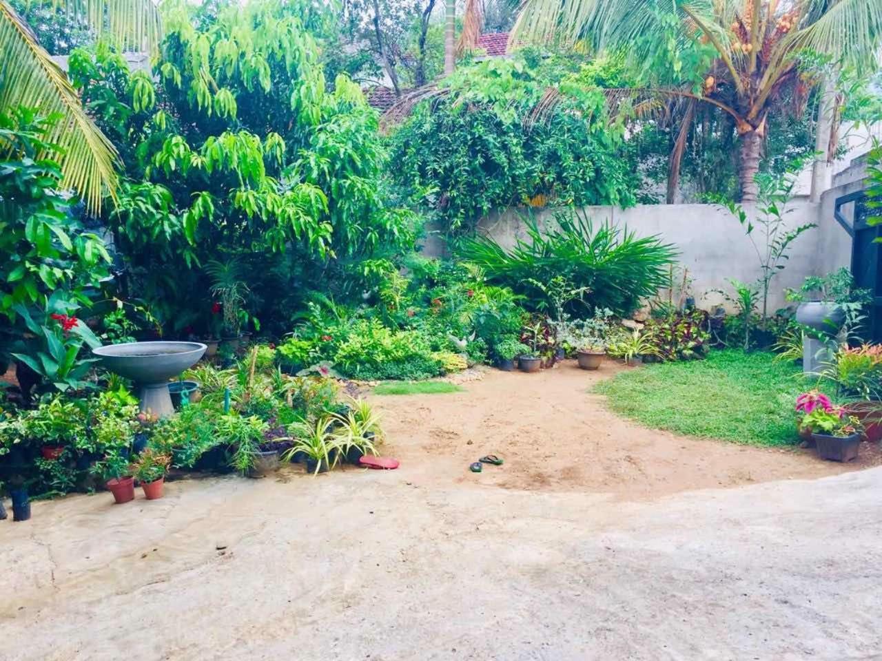 Suwani Pinnawala Homestay Ngoại thất bức ảnh